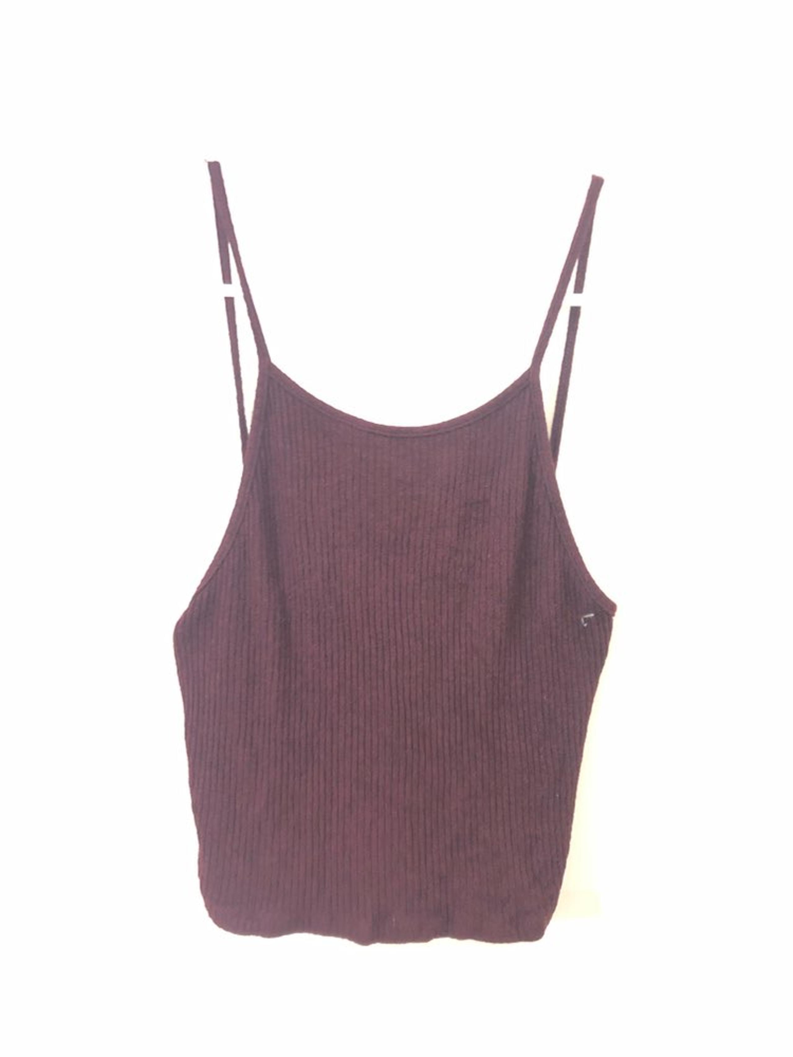 Beandy melville burgandy crop top