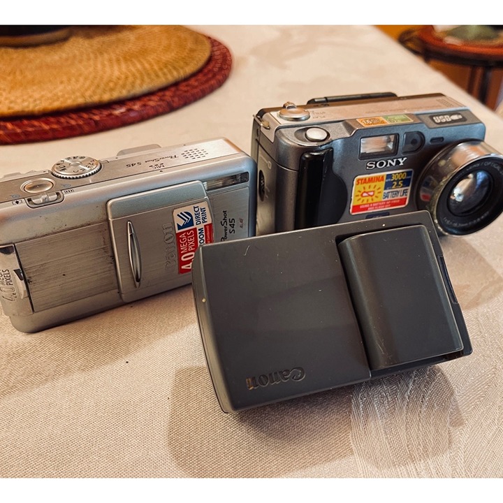 Bulk of 2 cameras for parts + charger. Sony + Cannon