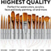 16 Pieces Premium Artist Paint Brush Set - Includes Palette Knife, Sponge, Organ