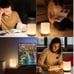 LED touch sensor dimmable night light