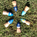 Set of 6 Weather Gnomes