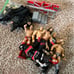 50 WWE WRESTLERS AND BELTS - some rare !!