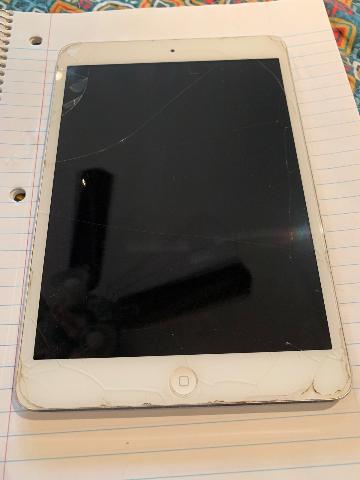 Apple iPad Mini 1st Generation 16GB in Silver