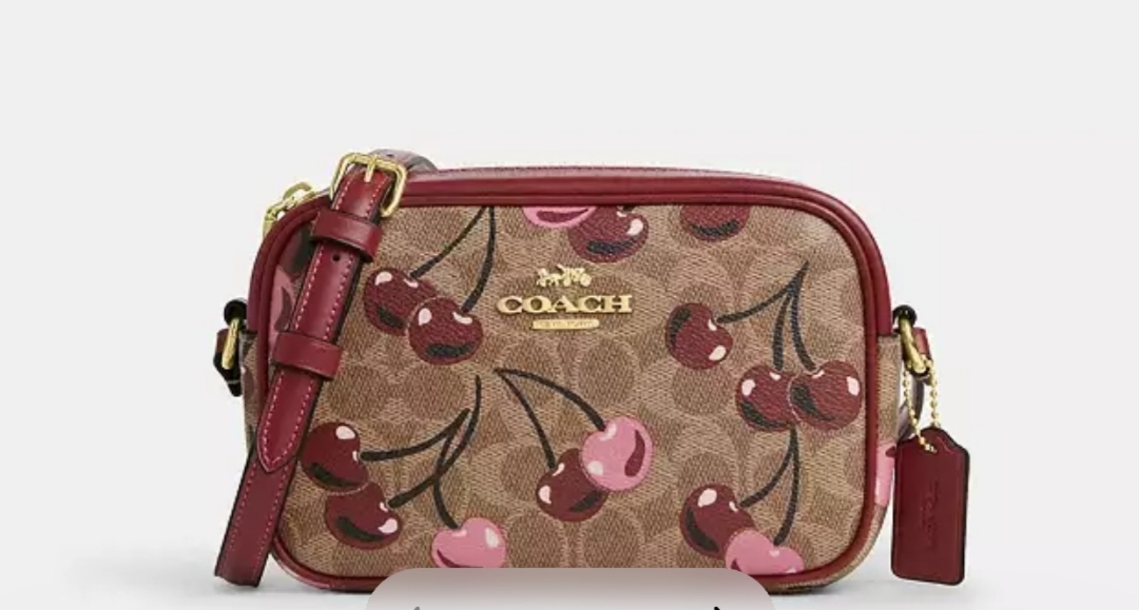 Coach Mini Jamie Camera Crossbody Bag In Signature Canvas With Cherry Print