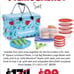 Tupperware Picnic Basket