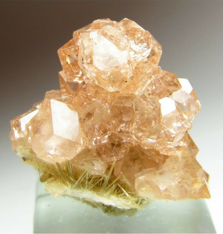 Superb Grossular Garnet on Diopside, Jeffrey Mine, Canada