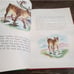Vintage The Littlest Reindeer Children's Picture Book Watertower Books Chicago