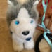 American girl doll Pepper Dog and Sled