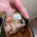 Clarks loafers size 13