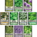 Plant Seeds 10 Kit Non-GMO Growing into Thyme, Lavender, Chamomile, Dill, Chives