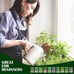 Plant Seeds 10 Kit Non-GMO Growing into Thyme, Lavender, Chamomile, Dill, Chives