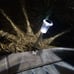 Solar Pathway Lights 10 Pack LED Waterproof Stainless Steel Garden Stake Lights