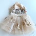 Luxurious Special Occasion Dog Dress