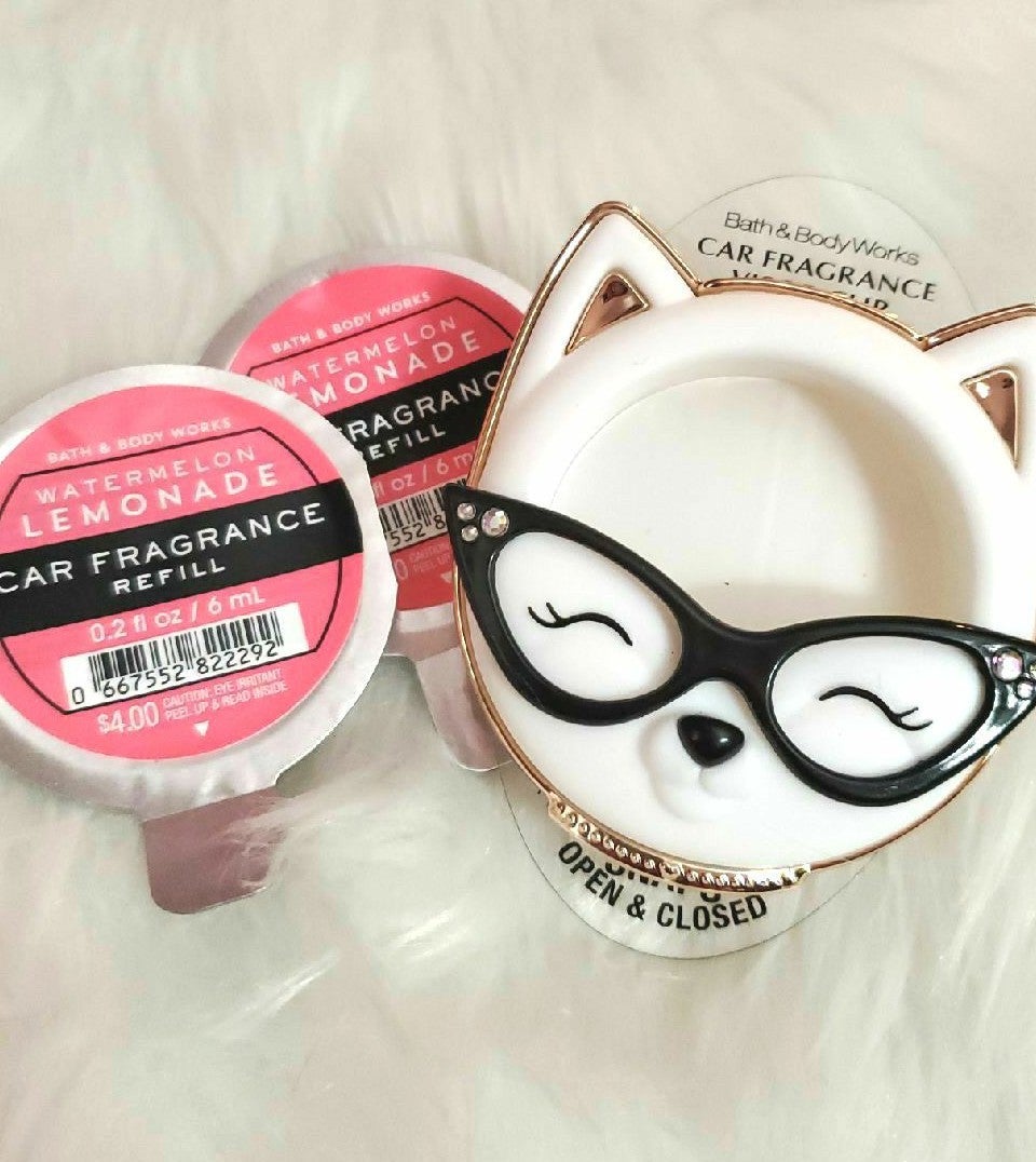 Genius Cat Visor Clip Car Fragrance Holder Set