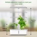 Tuya WiFi Plant Hydroponics System Growing LED Light Soilless Smart Planting