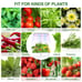 Tuya WiFi Plant Hydroponics System Growing LED Light Soilless Smart Planting