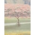 M. MARTEN Framed Textured Paper Watercolor Albero Rosa Pink Tree - 20 x 27.5