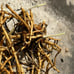 茗荷地下茎　Fresh Myoga plant’s rhizome
