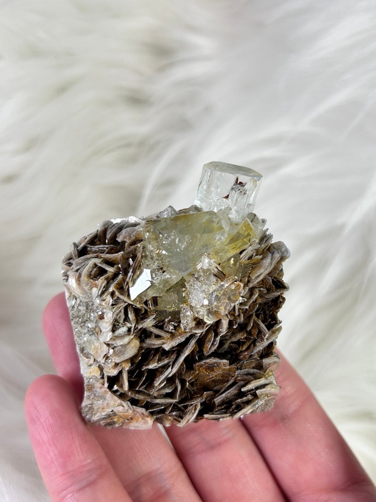 Aquamarine on Muscovite