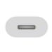 Apple USB-C to Lightning Adapter
