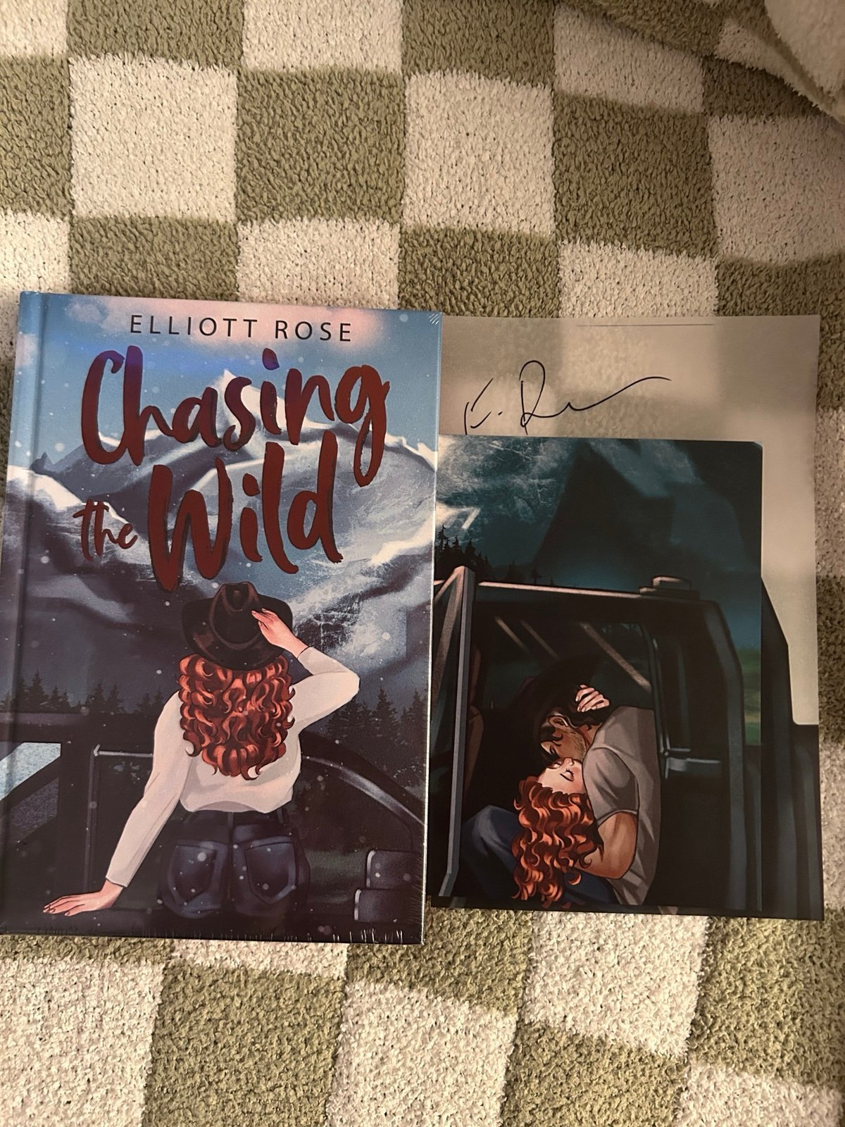 Chasing the Wild by Elliott Rose Dark and Quirky