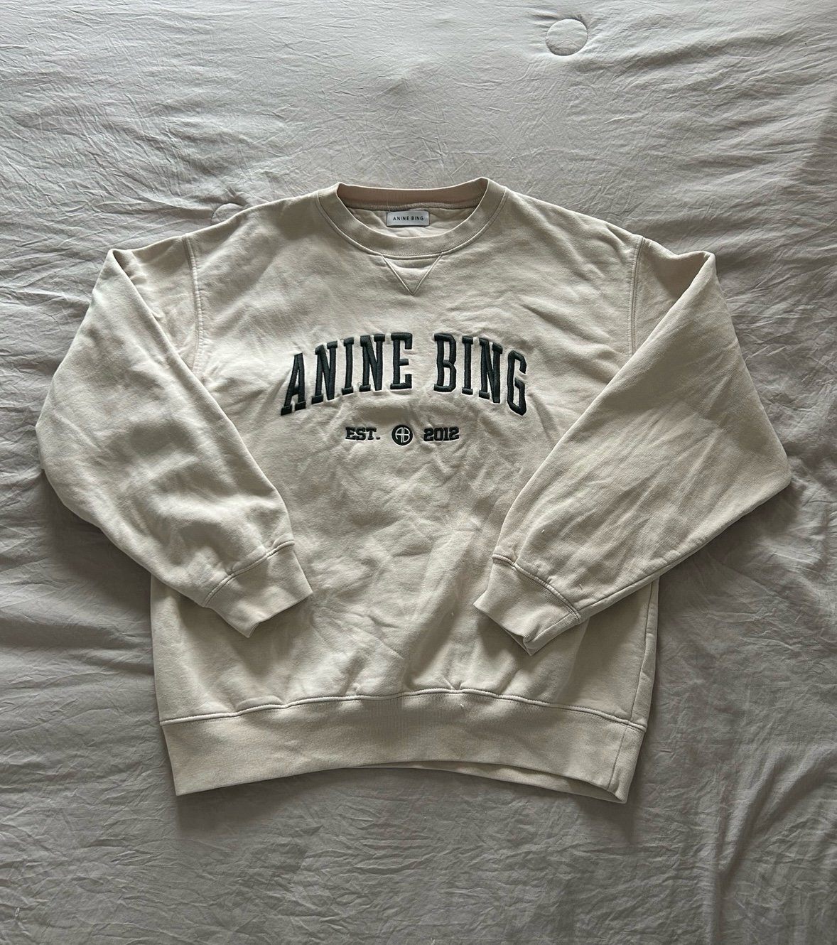 anine bing sweatshirt