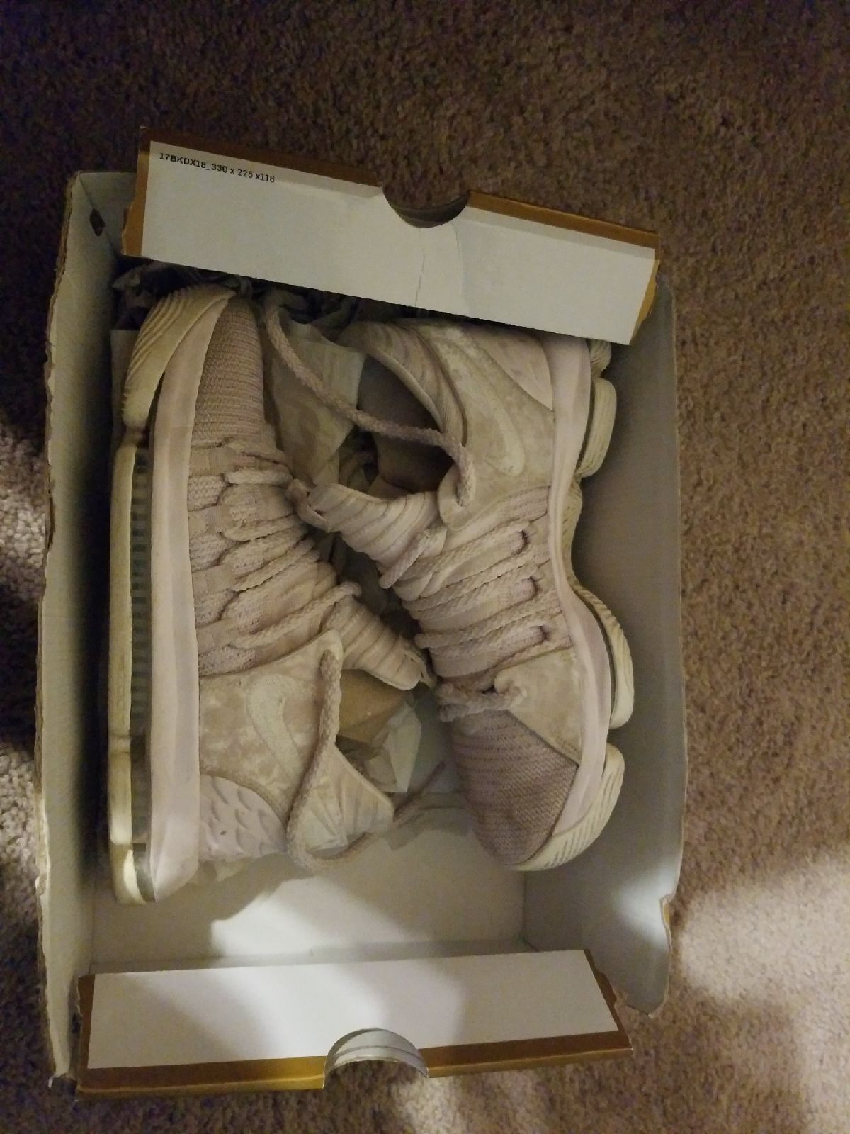 Nike Zoom KD10 AP (GS) (LIMITED EDITION)