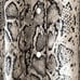 Snakeskin Print Maxi Skirt Size S