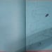 Walt Disney's Bunny Book A Big Golden Book Hardcover 2nd Printing 1972
