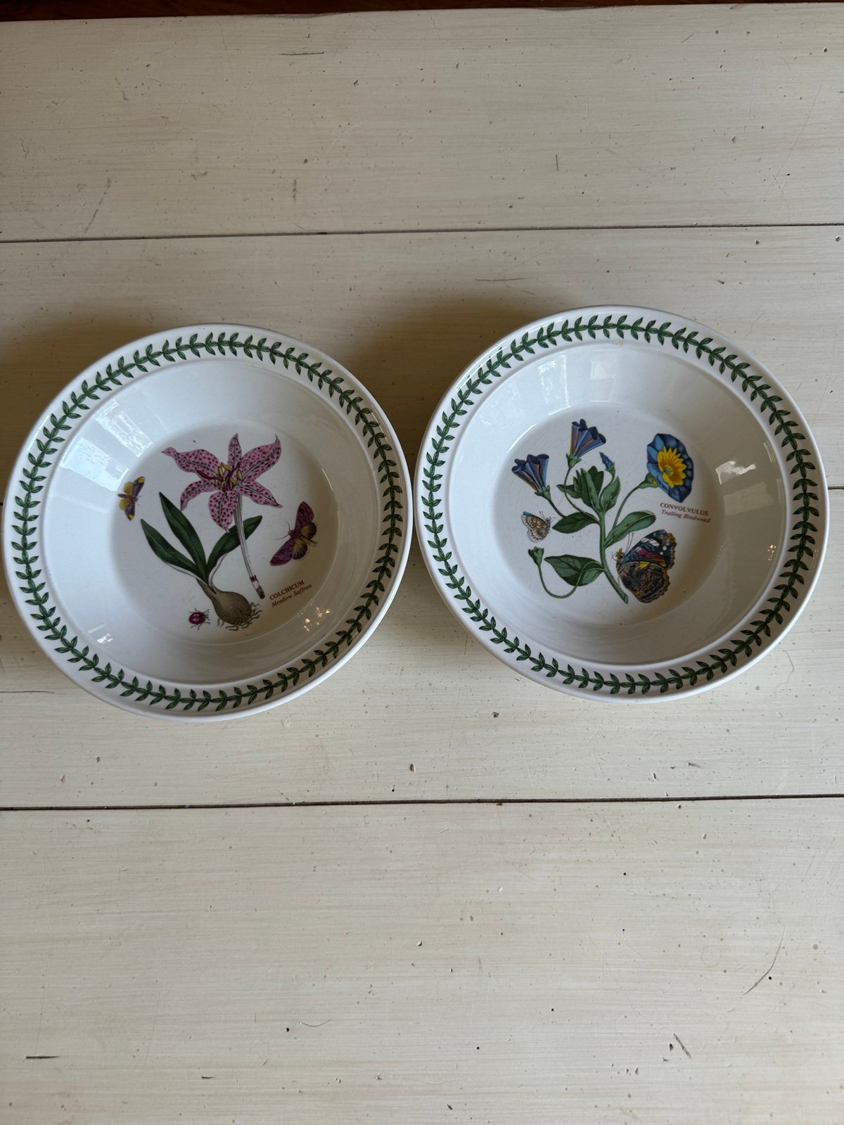 Set of 2 Portmeirion Botanic Garden Soup Bowls