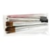 *NEW* Mary Kay Signature Brush Set 5 Piece Makeup Case 499500 CHEEK POWDER EYES