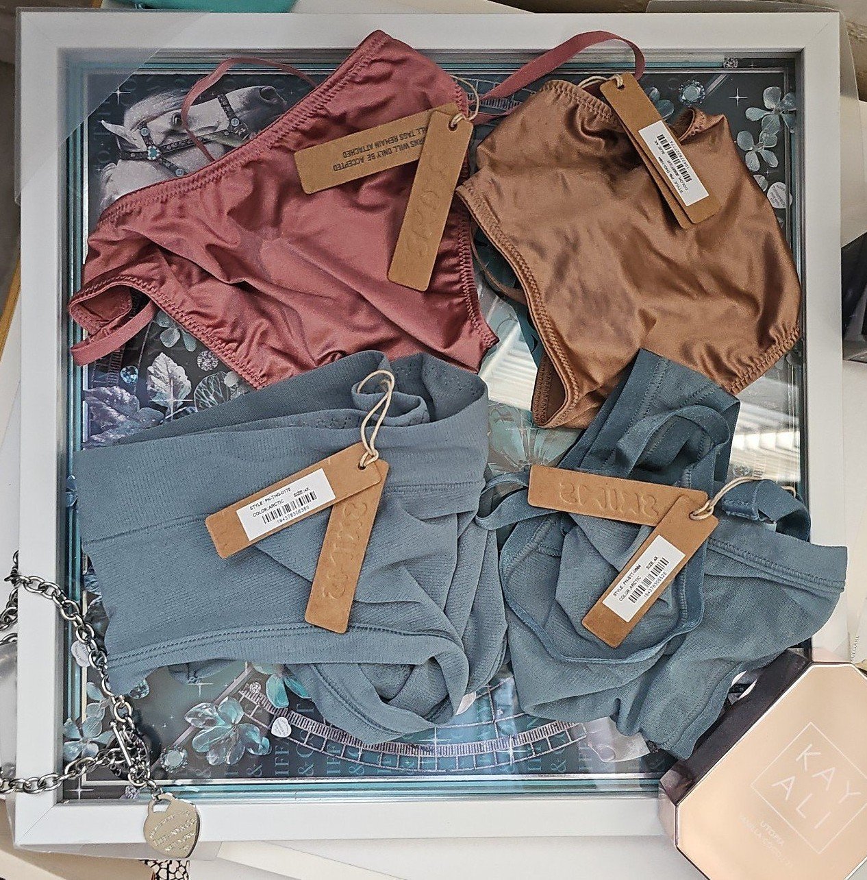 SKIMS (4) 4X Sheer & Satin Panty Bundle