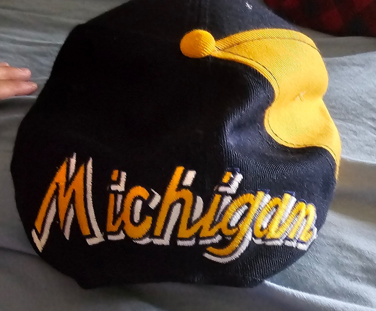 Vintage Michigan Wolverines snap back