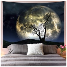 Moon Tapestry
