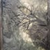 Moon Tapestry