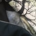 Moon Tapestry
