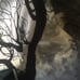 Moon Tapestry