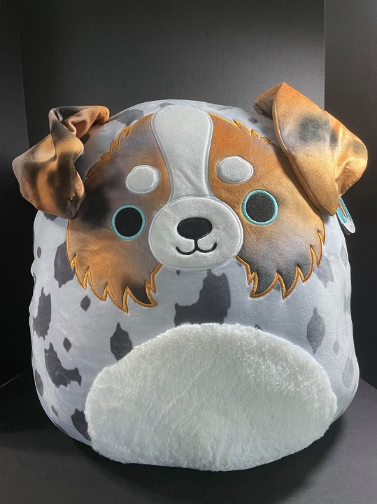 Squishmallow 20 Raylor the Australian Shepherd Pup Exclusive VHTF 2021