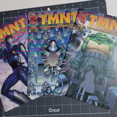 TMNT Comic Bundle Mirage Higher Grade