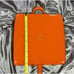 Mario Batali Dansk Cast Iron Skillet Grill Pan Orange Enameled Panini Press Lid