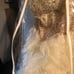 white prom dress