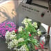 150w led grow light