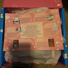 SoKawaii October 2022 Box