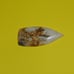 Graveyard Point Plume Agate Cabochon 55.8mm x 25.2mm RK Studios Lapidary NOS
