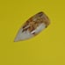 Graveyard Point Plume Agate Cabochon 55.8mm x 25.2mm RK Studios Lapidary NOS