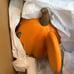 Disney Mickey Mouse Pumpkin luminary Pottery Barn
