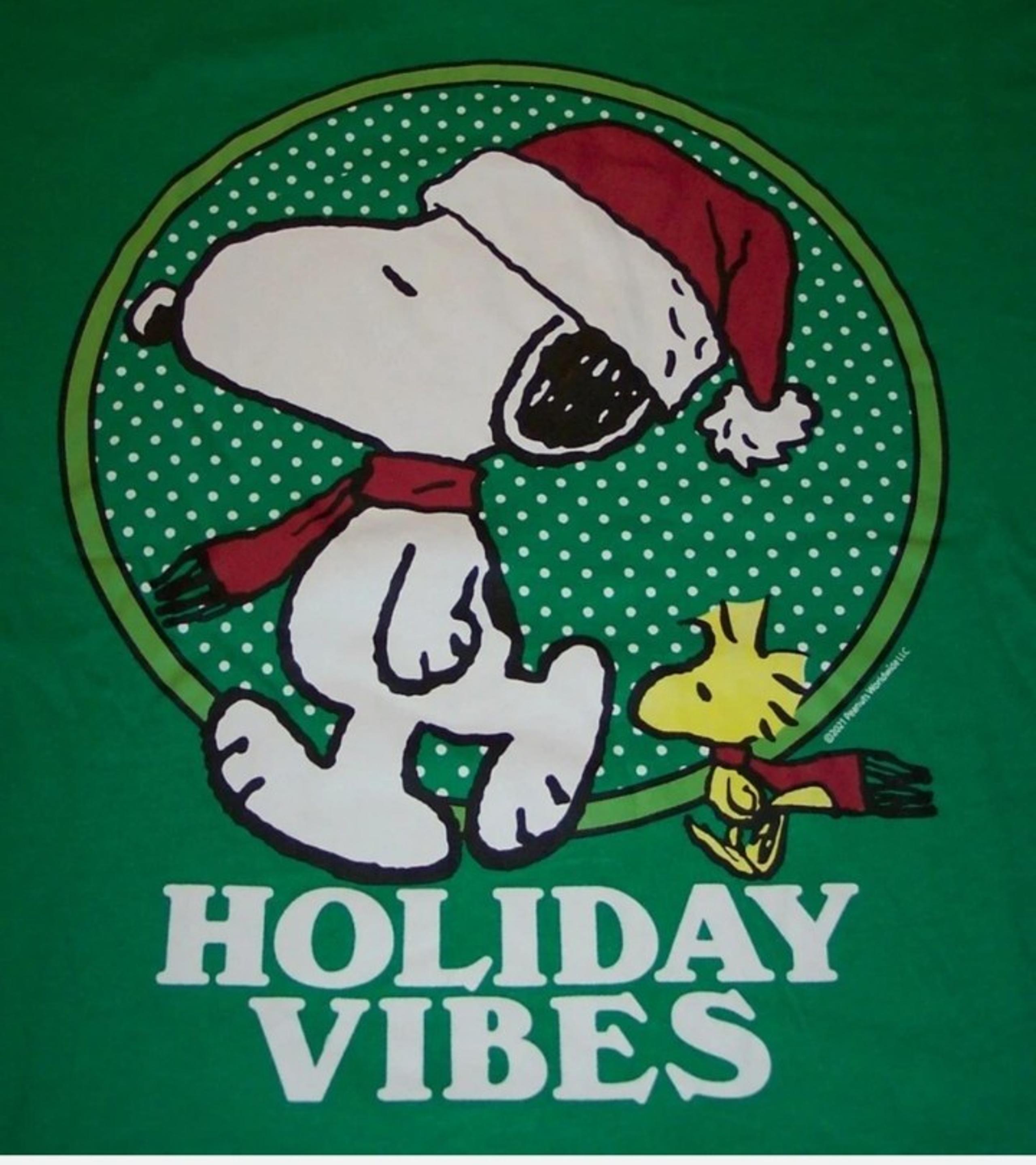 Peanuts Snoopy Holiday Vibes Graphic Long Sleeve Tee Boys Med 10-12 BNWT SO