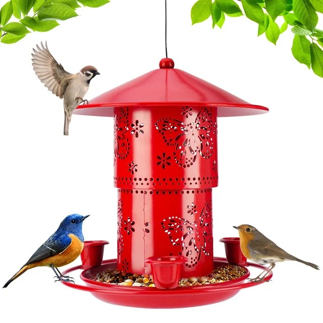 Bird Feeder