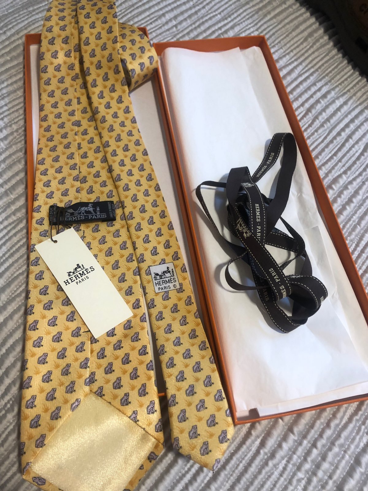 Hermès Tie The Frog