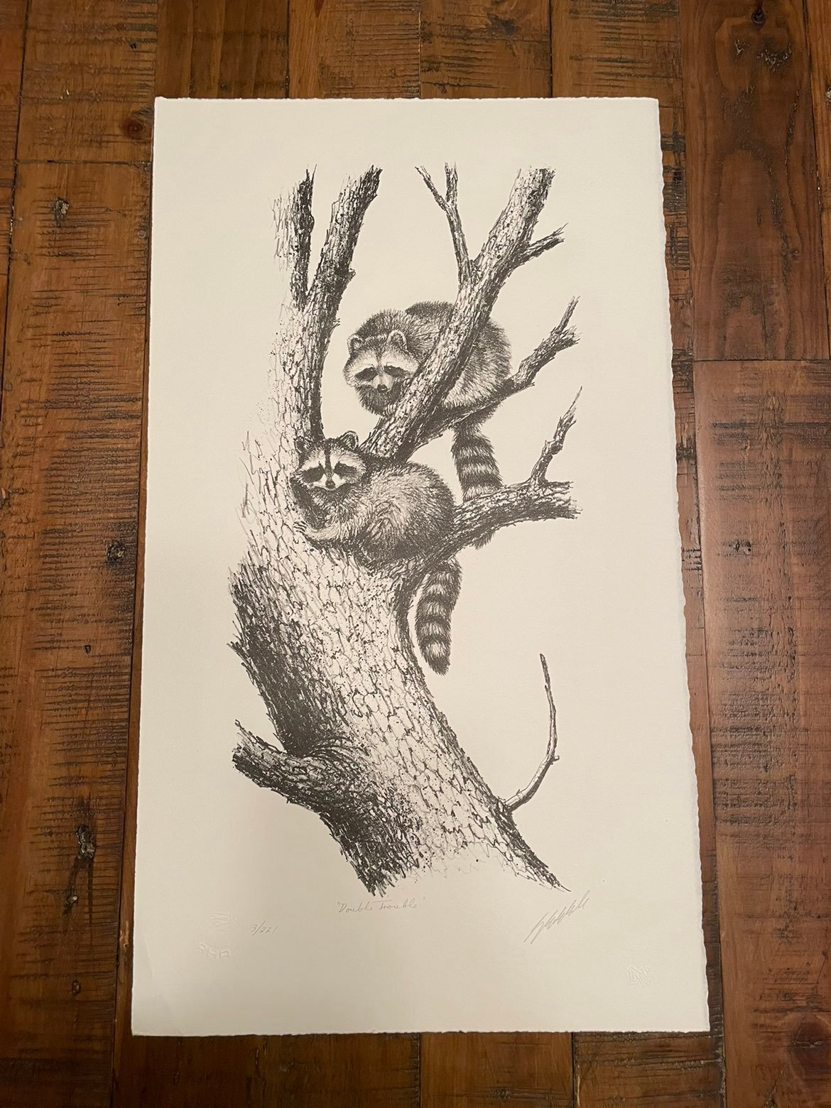 Guy Coheleach Limited Edition Hand Signed Print “Double Trouble” 3/221.